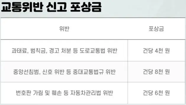 교통 위반 신고 포상금
