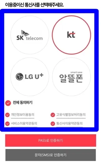 병원 신분증 없을 때 PASS